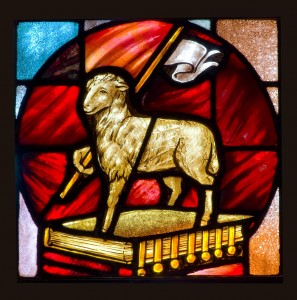 LAMB.RETOUCHED_crop
